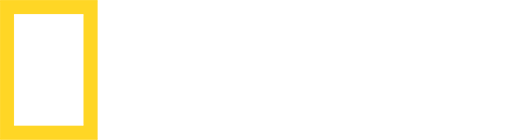 National Geographic Wild logo