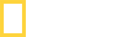 National Geographic logo