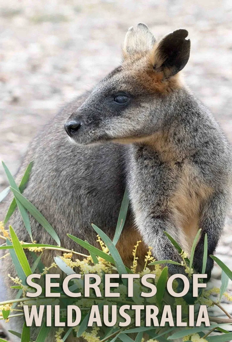 Secrets of Wild Australia artwork
