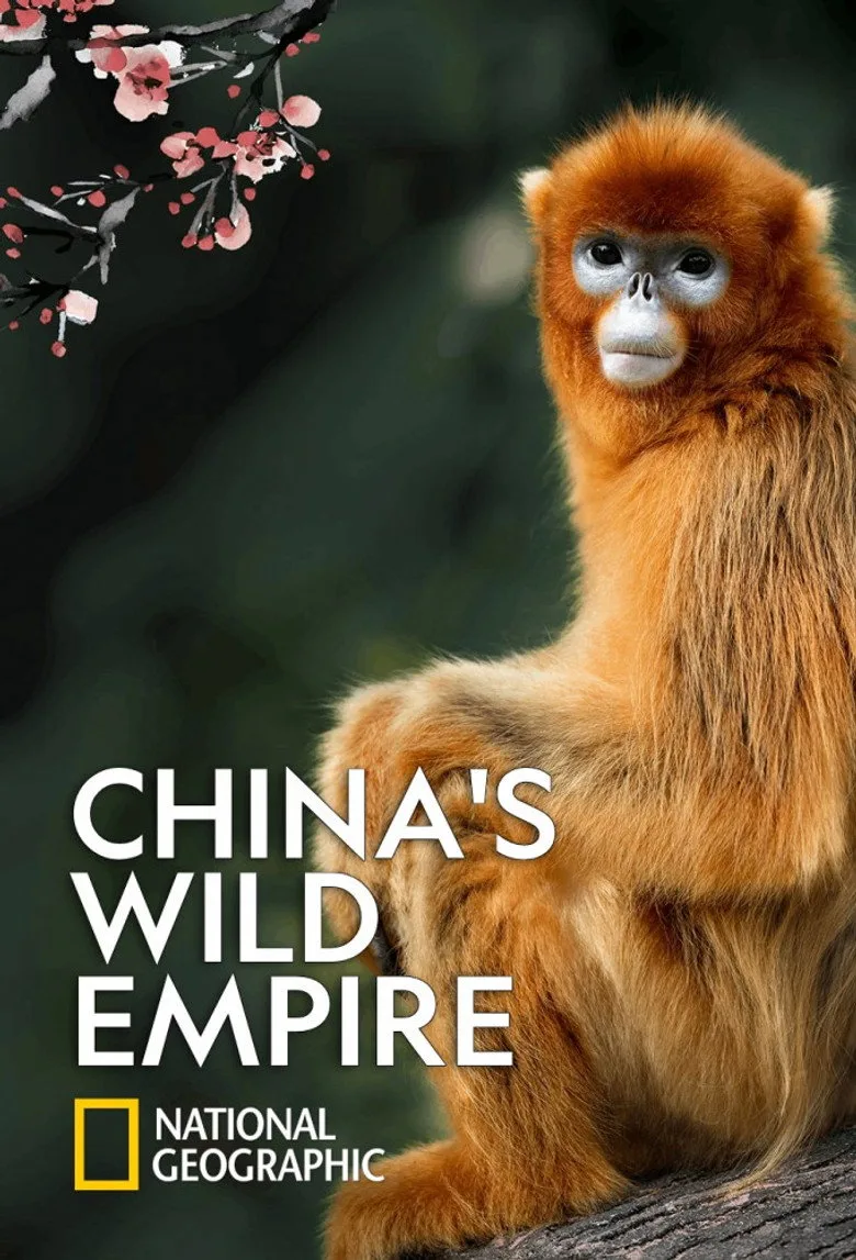 China's Wild Empire artwork