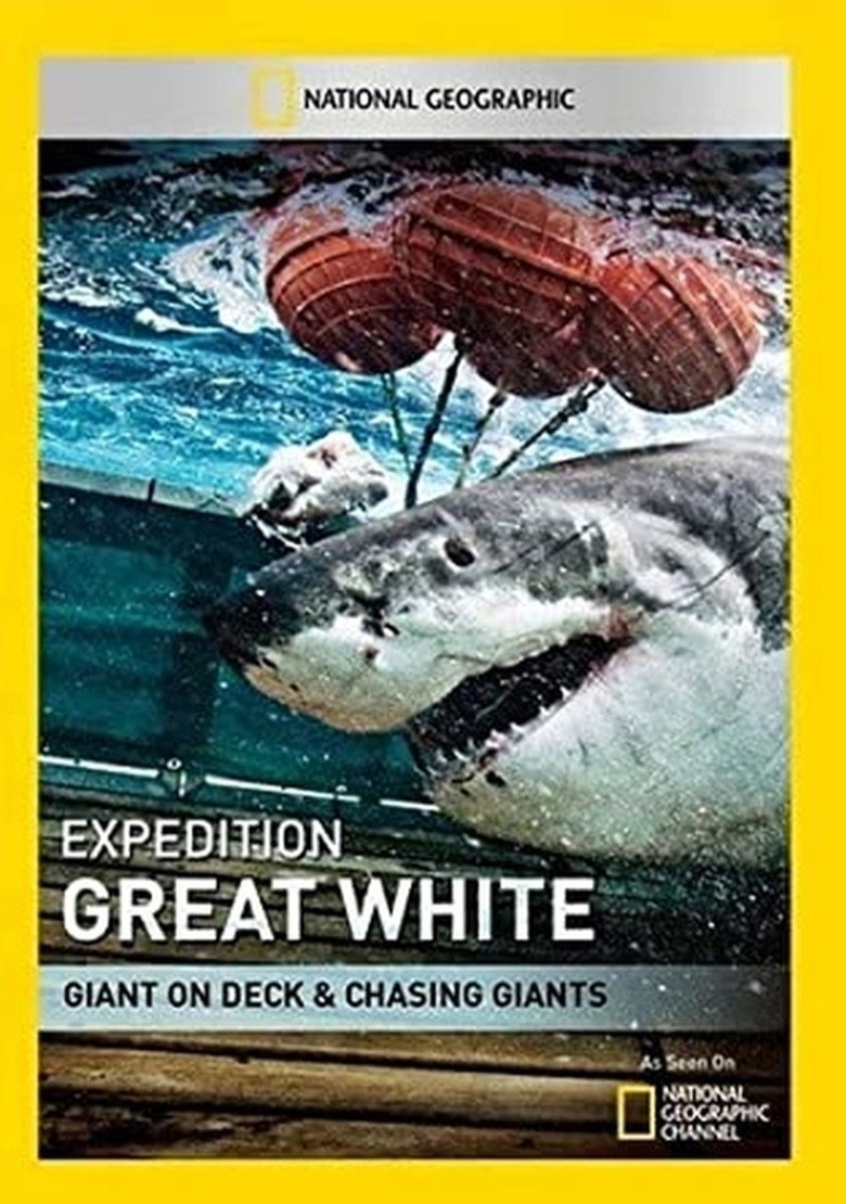 Shark Men artwork