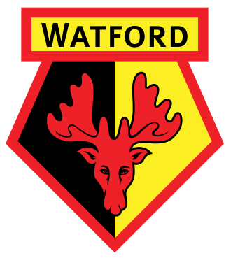 EFL 98/99: Bolton v Watford artwork