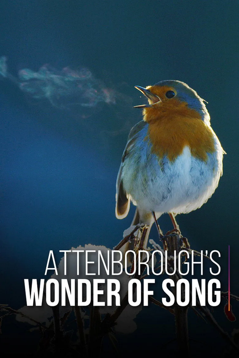 Attenborough's Wonder of Song artwork
