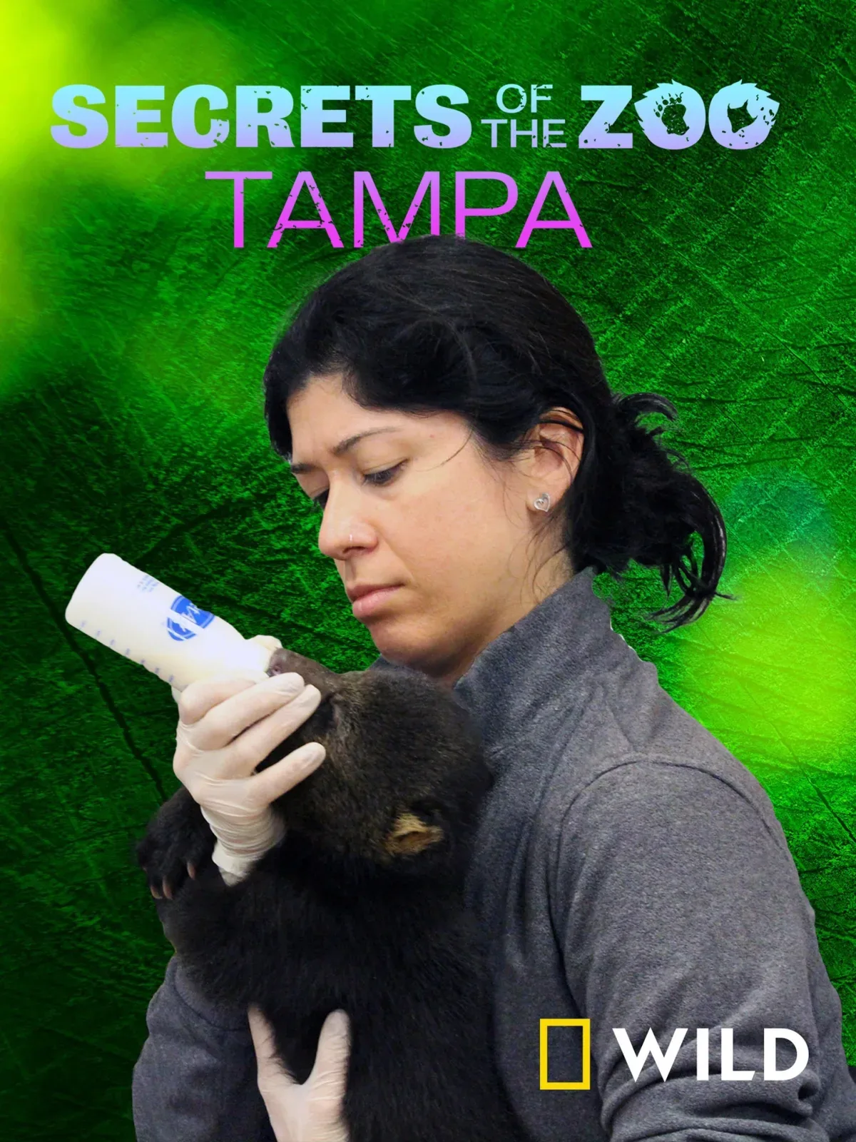 Secrets Of The Zoo: Tampa artwork