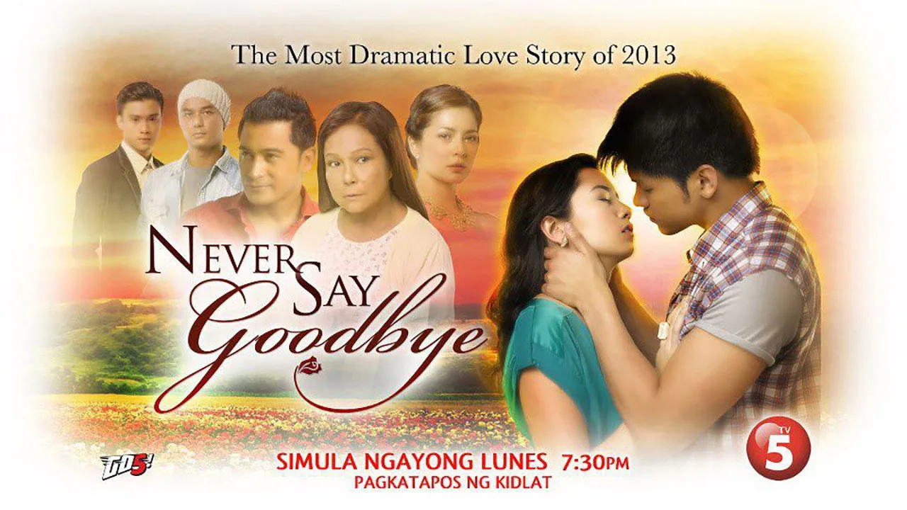 Never Say Goodbye artwork