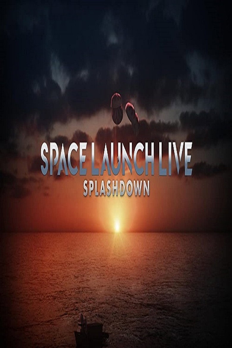 Space Launch: Splashdown artwork