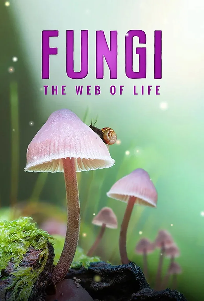 Fungi: The Web of Life artwork