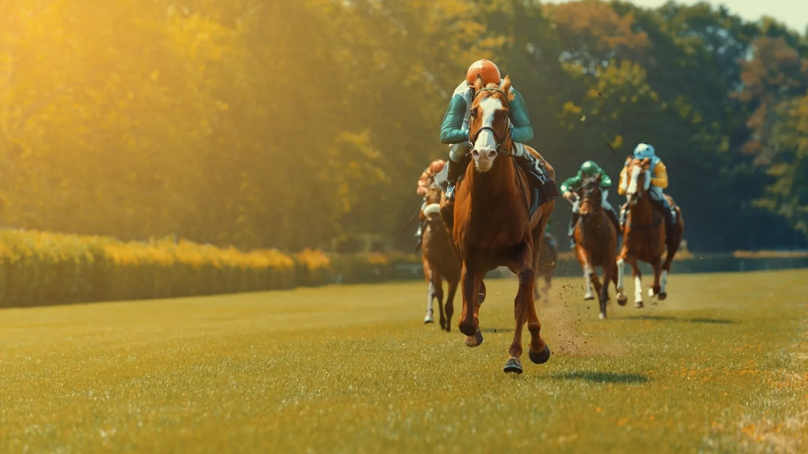 Irish Racing Replay artwork