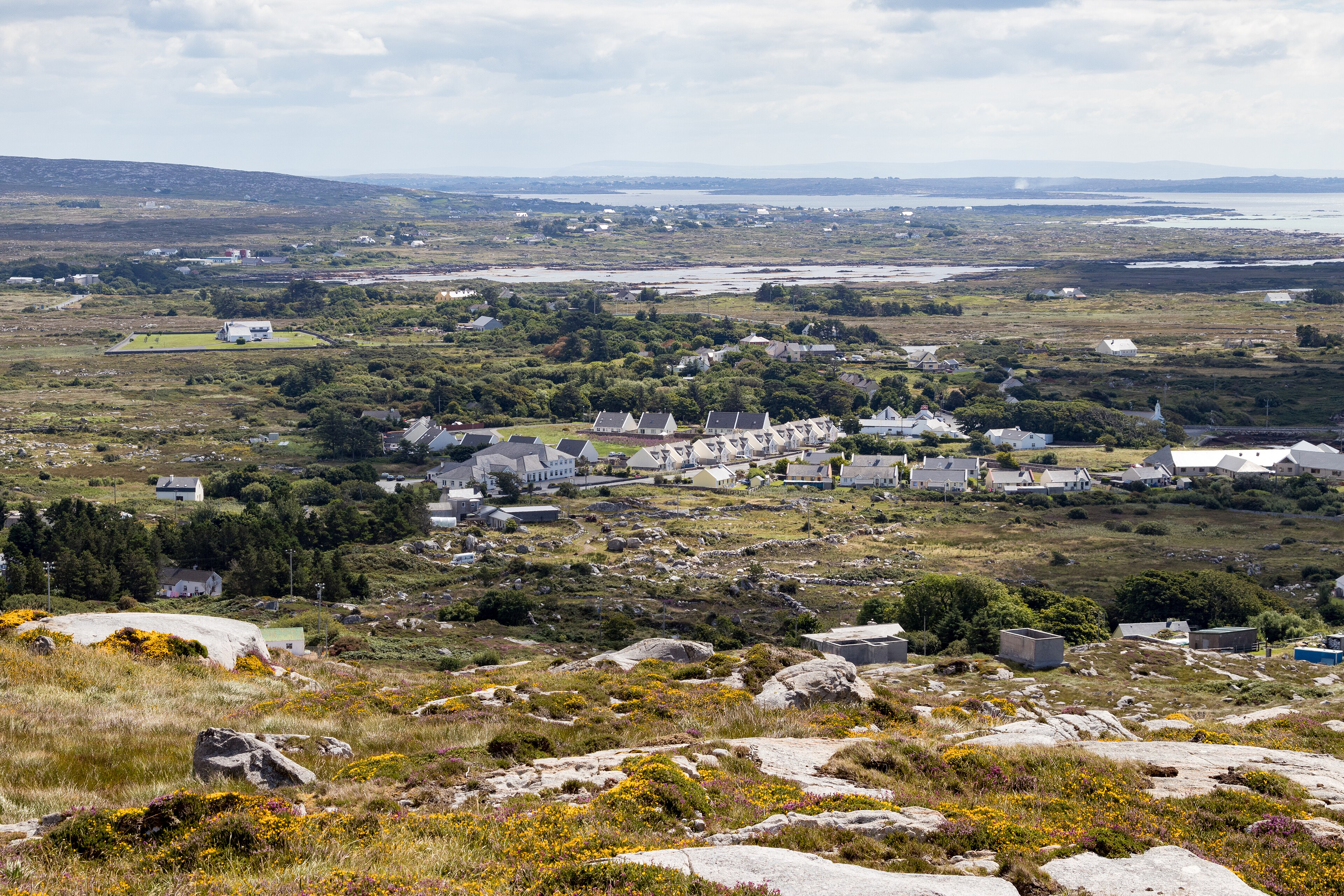 Inside the Ambulance: Coast and Country artwork