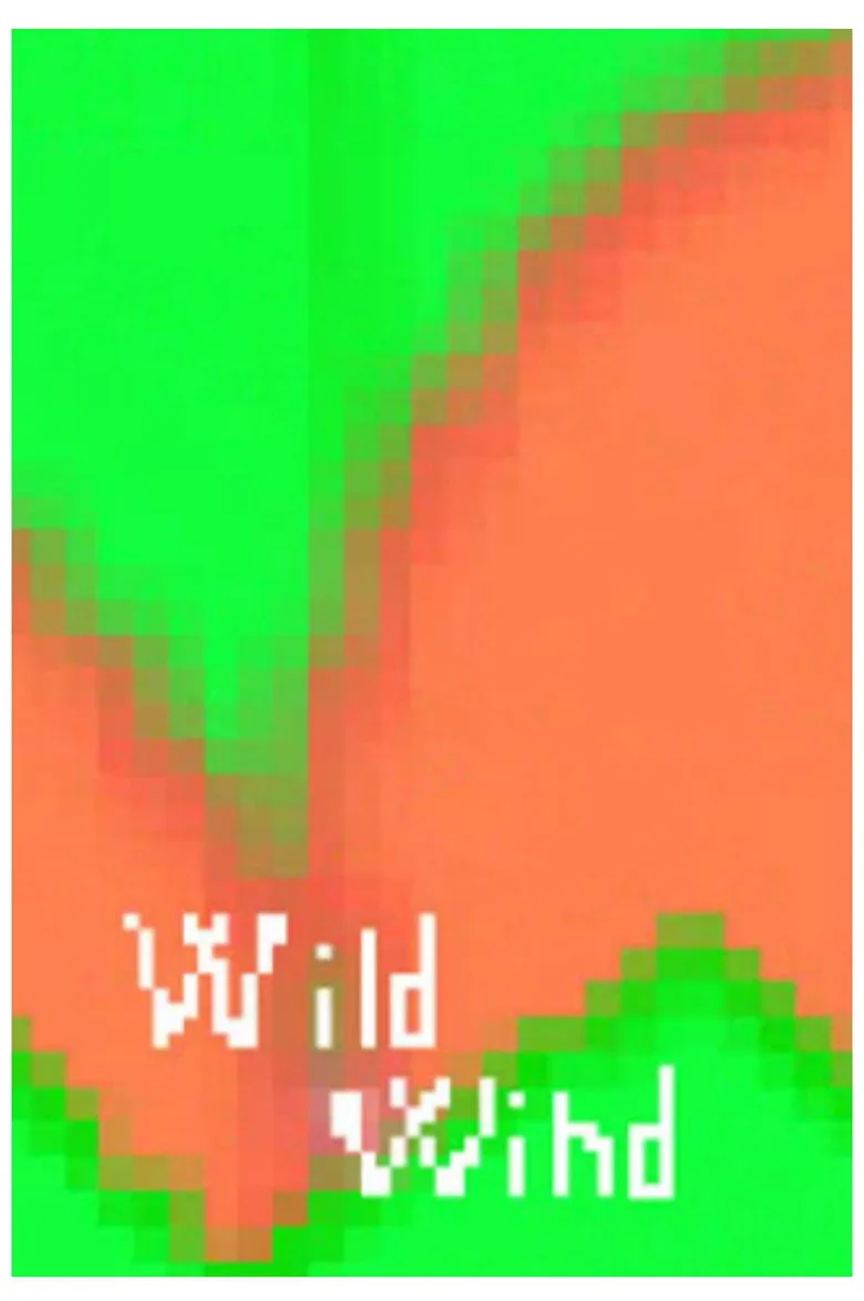 Wild Wind artwork
