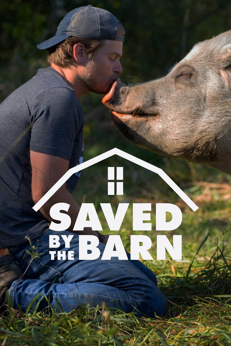 Saved By The Barn artwork