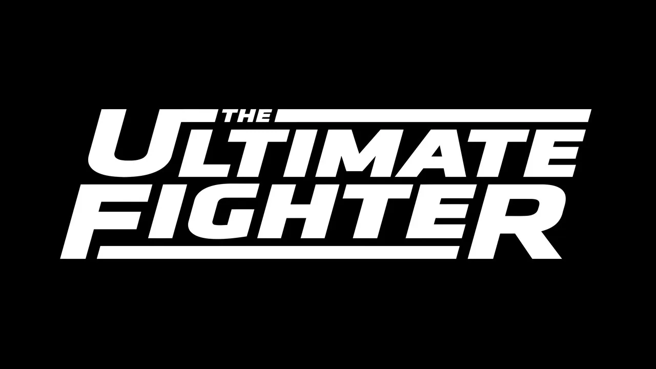 UFC: The Ultimate Fighter artwork