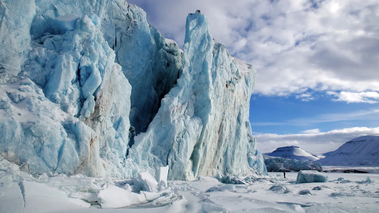Frozen Planet artwork