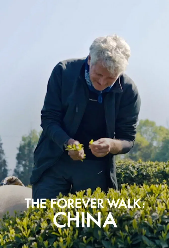 The Forever Walk: China artwork