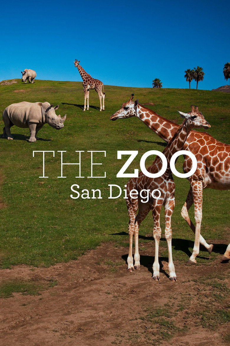 The Zoo: San Diego artwork