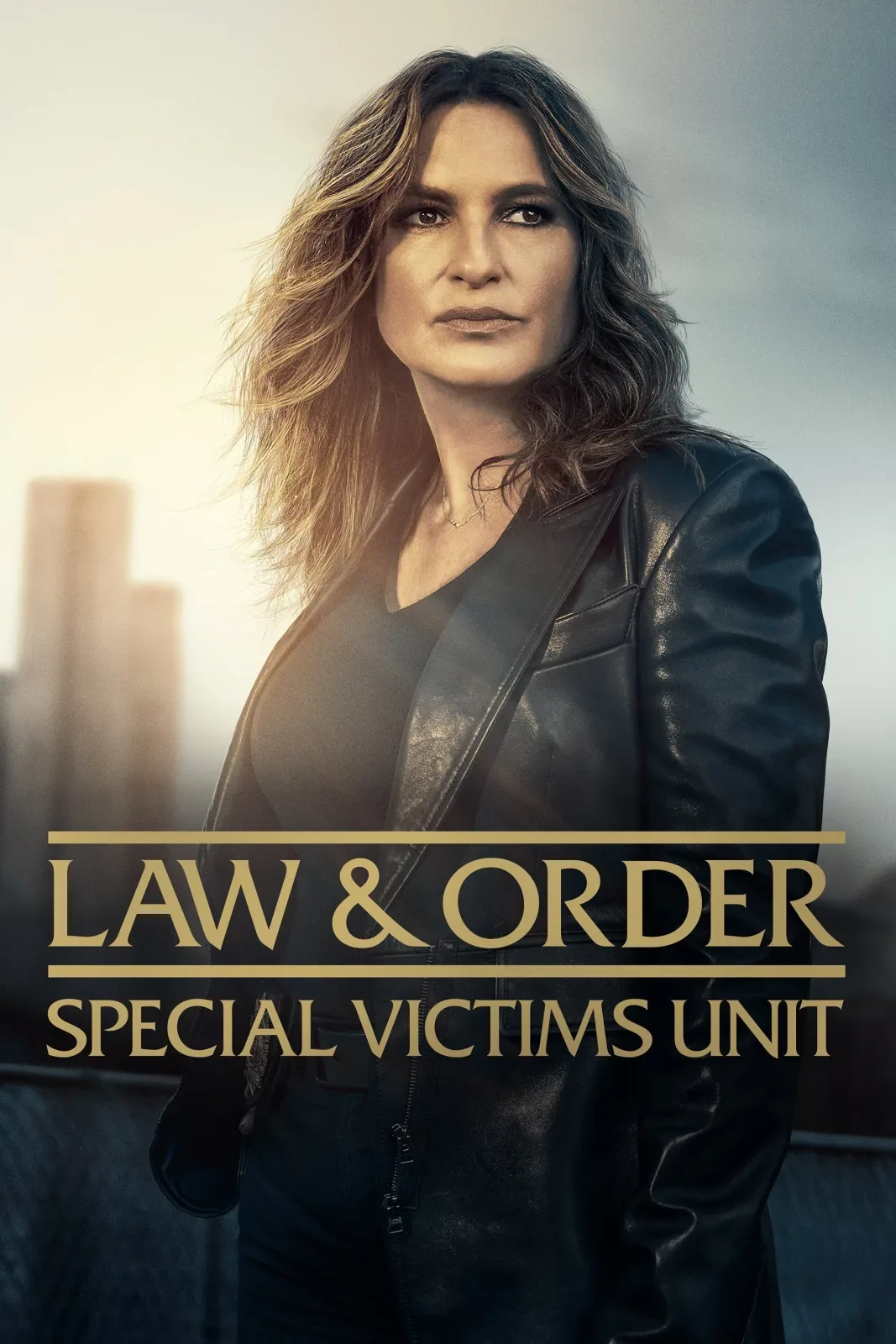 Law & Order: Special Victims Unit artwork